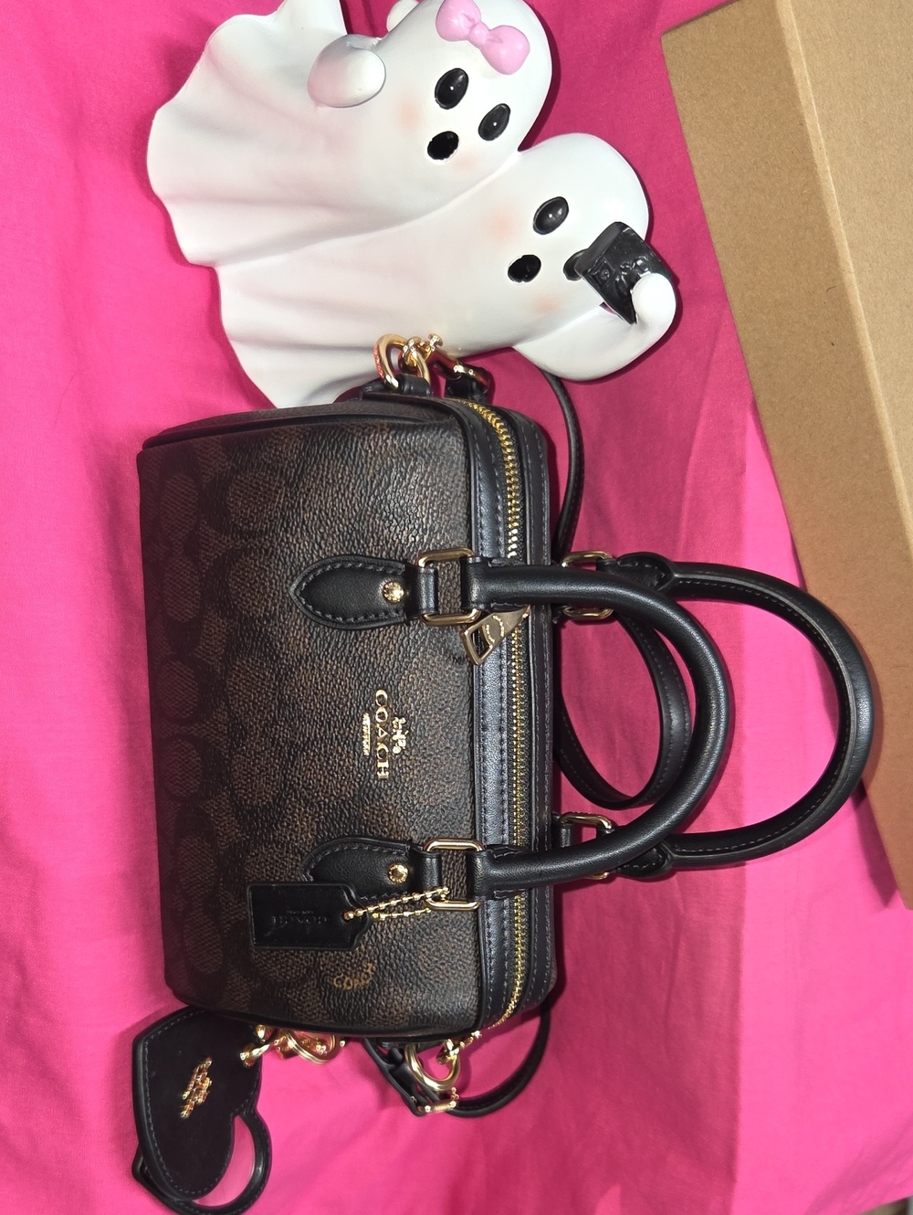 Authentic Mini RWN Coach Bag - Picture 4 of 16